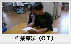 作業療法（OT）